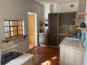 a kitchen with a refrigerator and a counter top at Petite maison SOUS LE TILLEUL in Schiltigheim