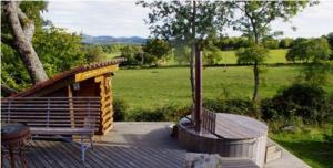 Příroda nedaleko bed and breakfast