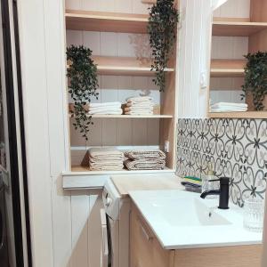a kitchen with a sink and shelves with towels at La Monta Cosy in Saint-Égrève