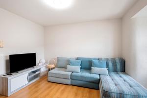 un soggiorno con un divano blu e una TV a schermo piatto di Apto Buenas Vistas En Osseja a Osséja
