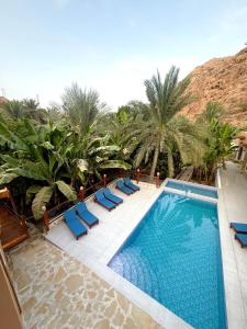 Πισίνα στο ή κοντά στο Nomad inn Tiwi