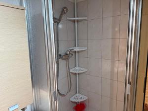 a shower with four shelves in a bathroom at Appartamento in Attico in Poschiavo +10 photos