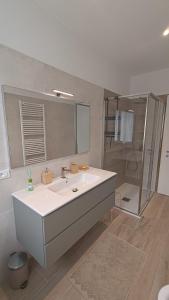 ein Badezimmer mit einem weißen Waschbecken und einer Dusche in der Unterkunft Casa Rio Maggiore in Levico Terme
