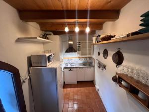 a kitchen with a refrigerator and a microwave at The Tower in Borgo Fontanini in Monte Ombraro
