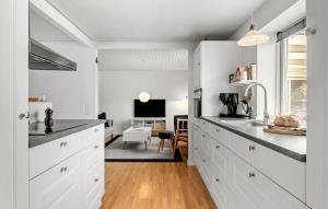 Gallery image of Pet Friendly Home In Farsø With House A Panoramic View in Farsø