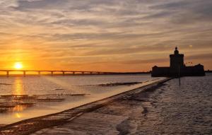 Naturlandskabet i nærheden af lejligheden