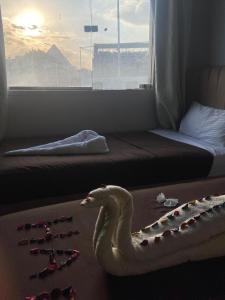 a snake sitting on the floor in front of a window at Upora Pyramids View Inn in Cairo