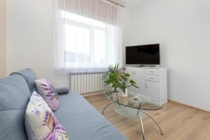 een woonkamer met een blauwe bank en een tv bij Five Bedroom Apartment for 12 in Gdańsk Center with Desk and Balcony by Noclegi Renters in Suchanino