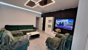 a living room with a couch and a flat screen tv at Apartament Ovidiu in Horpaz