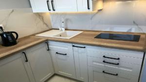 una cocina con fregadero y encimera en CENTRUM Sikorskiego 123 - EZHome, en Gorzów Wielkopolski