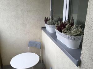 un contatore con due piante in vaso e uno specchio di CENTRUM Sikorskiego 123 - EZHome a Gorzów Wielkopolski