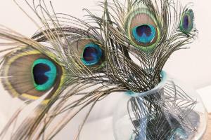a peacock feather in a glass vase at Villa Wiederkehr Einkehr in Ostseebad Sellin