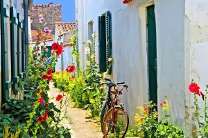 un vélo garé à côté d'un immeuble fleuri dans l'établissement Cottage Chaleureux Proche Ocean, à Salles-sur-Mer 11 autres photos