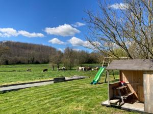 a playground with a slide and horses in a field at La PASSUITIÈRE in Saint-Mesmin
