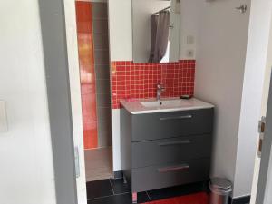 a small bathroom with a sink and a mirror at La PASSUITIÈRE in Saint-Mesmin +11 photos