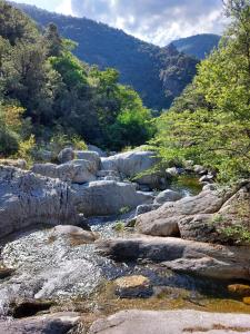 Un río con rocas y árboles en una montaña. en Big Gite, en Amélie-les-Bains-Palalda