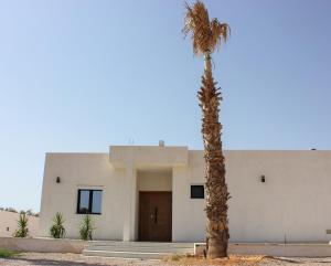 un palmier devant un bâtiment dans l'établissement Villa Les Palmiers, à Temlale