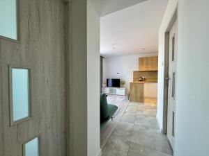 Η κουζίνα ή μικρή κουζίνα στο Apartamenty Podlesie