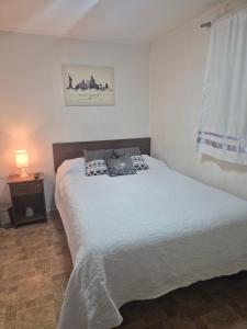 Φωτογραφία από το άλμπουμ του Alojamiento Emilia House στην Πούντα Αρένας +39 φωτογραφίες