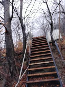 eine Treppe auf einem Hügel mit Bäumen in der Unterkunft Mura in Seciuri
