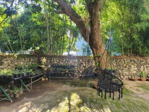 Κήπος έξω από το Fip's Inn Hostel Thakhek