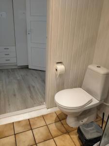 a bathroom with a white toilet and a shower at Håstrups Natur Perle in Faaborg +23 photos