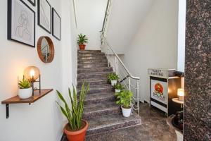 ハイデラバードにあるFabHotel Narsingi - Nr Global Eye Hospital, Narsingiの鉢植えの階段