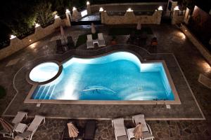 里科索里的住宿－Diwani Luxury Villas，享有游泳池的顶部景色,游泳池内有海豚