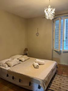 a bedroom with a large bed with a chandelier at Maison de vacances en pleine nature in Aurons