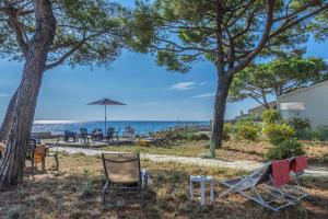 eine Gruppe von Stühlen und Bäumen am Strand in der Unterkunft Villa Les 3 frères in San-Nicolao