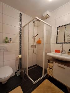 a bathroom with a shower and a toilet and a sink at Haus Franziska in Hallstatt +34 photos