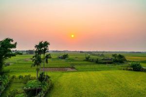 Una puesta de sol sobre un campo verde con palmeras en SMN Homestay, en Tân Thành (1)