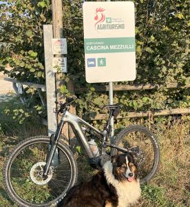 a dog laying next to a bike next to a sign at Agriturismo Cascina Mezzulli in Ostiano