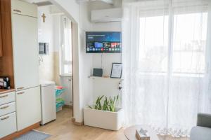 a living room with a window and a plant in a pot at Eleventh Floor apartment Milano in Cinisello Balsamo