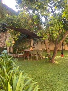 a table and chairs under a tree in a yard at SECRET GARDEN-bike-friendly home-MANDARANCIO in Calice Ligure