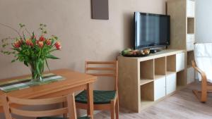 a living room with a table and a tv at BF-Living in Greppin +3 photos