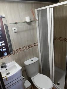 a bathroom with a toilet and a shower and a sink at La Casuca de Remin in Arredondo
