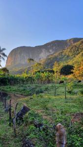 a field of grass with a mountain in the background at Casinha Fulô do Bongue - 6 km from Serra dos Alves in Itabira