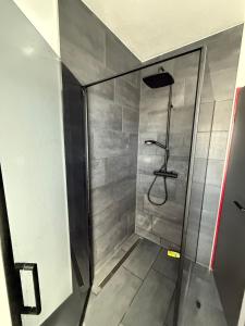 a shower with a glass door in a bathroom at Samtenssonne in Samtens +12 photos