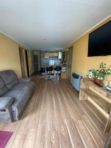 a living room with a couch and a flat screen tv at Apartamentos Natales May 21 in Puerto Natales