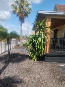 a house with two palm trees next to a porch at Palm Villa Hostel in Tampa +66 photos