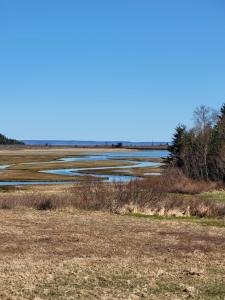 a field with some water and some grass and trees at Sunrise by the Sea in Lubec