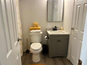 a bathroom with a toilet and a sink and a mirror at 4 Bed Ranch-Fire Pit-Pet & Kid Friendly-King Bed-Arcade in Columbus +27 photos