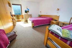 Gallery image of Hotel Pavone in Andalo