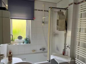 a bathroom with a shower and a bath tub at Waldblick-Appartement in Baiersbronn
