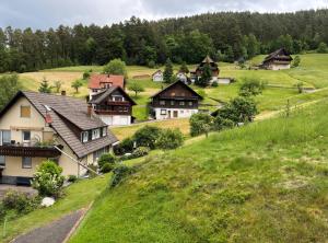 a group of houses on a grassy hill at Waldblick-Appartement in Baiersbronn