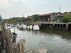 a group of boats are docked in a marina at Un cocon de sérénité in Gujan-Mestras
