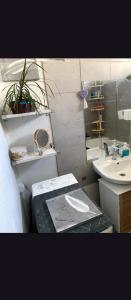 a bathroom with a toilet and a sink at loue chambre chez l'habitant in Saint-Victoret
