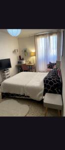 a bedroom with a large bed and a window at loue chambre chez l'habitant in Saint-Victoret