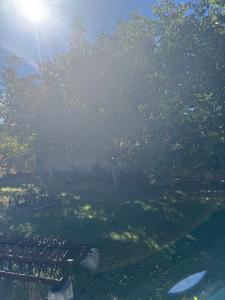 a view of a garden with trees and the sun at Tamarón solar camping 